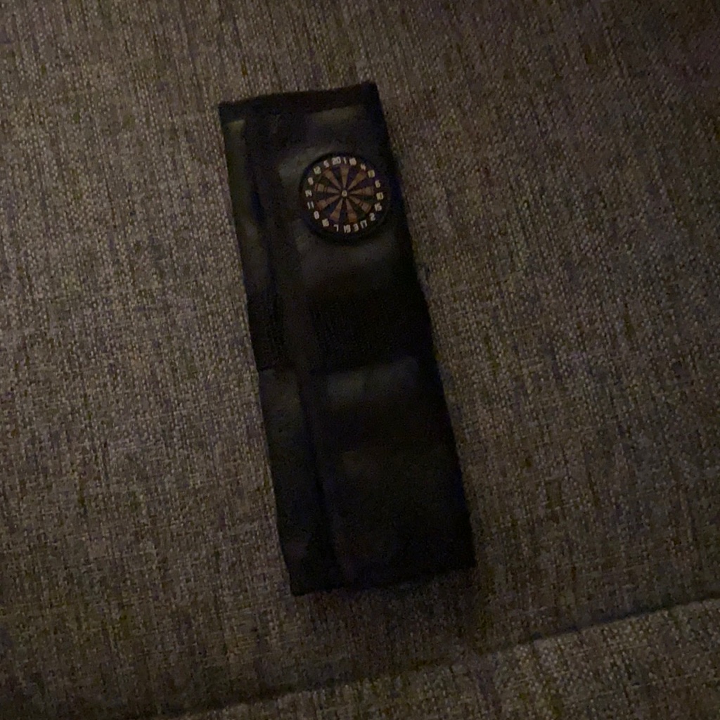 Dart Case